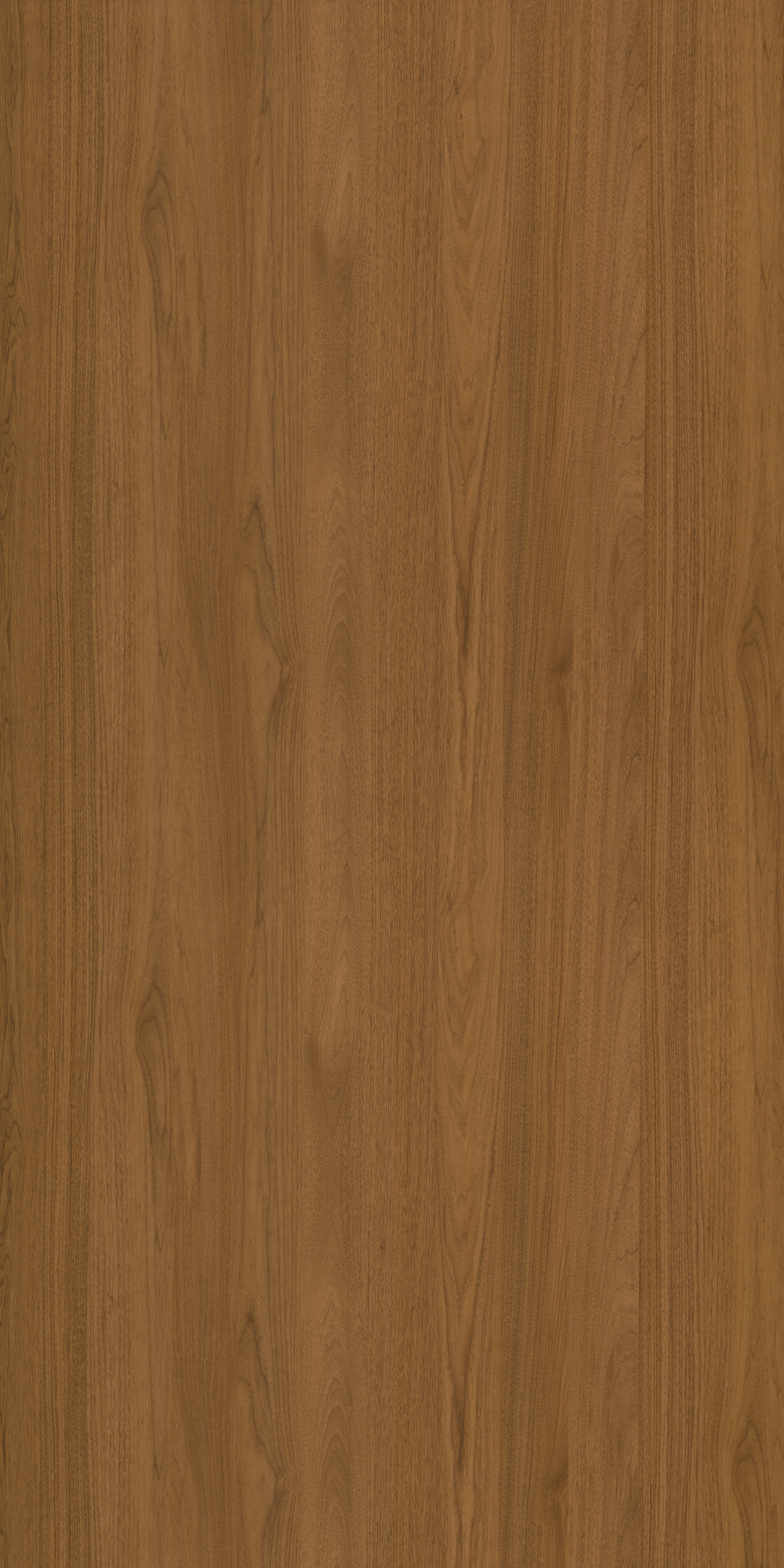 9208  ENGLISH WALNUT 